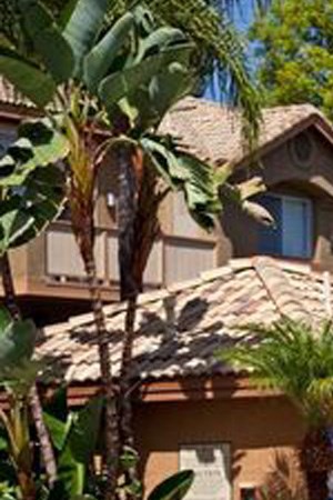 Photos And Video Of Las Palmas In Fullerton Ca