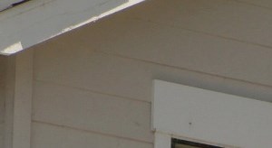 Davis ca restaurant coupons
