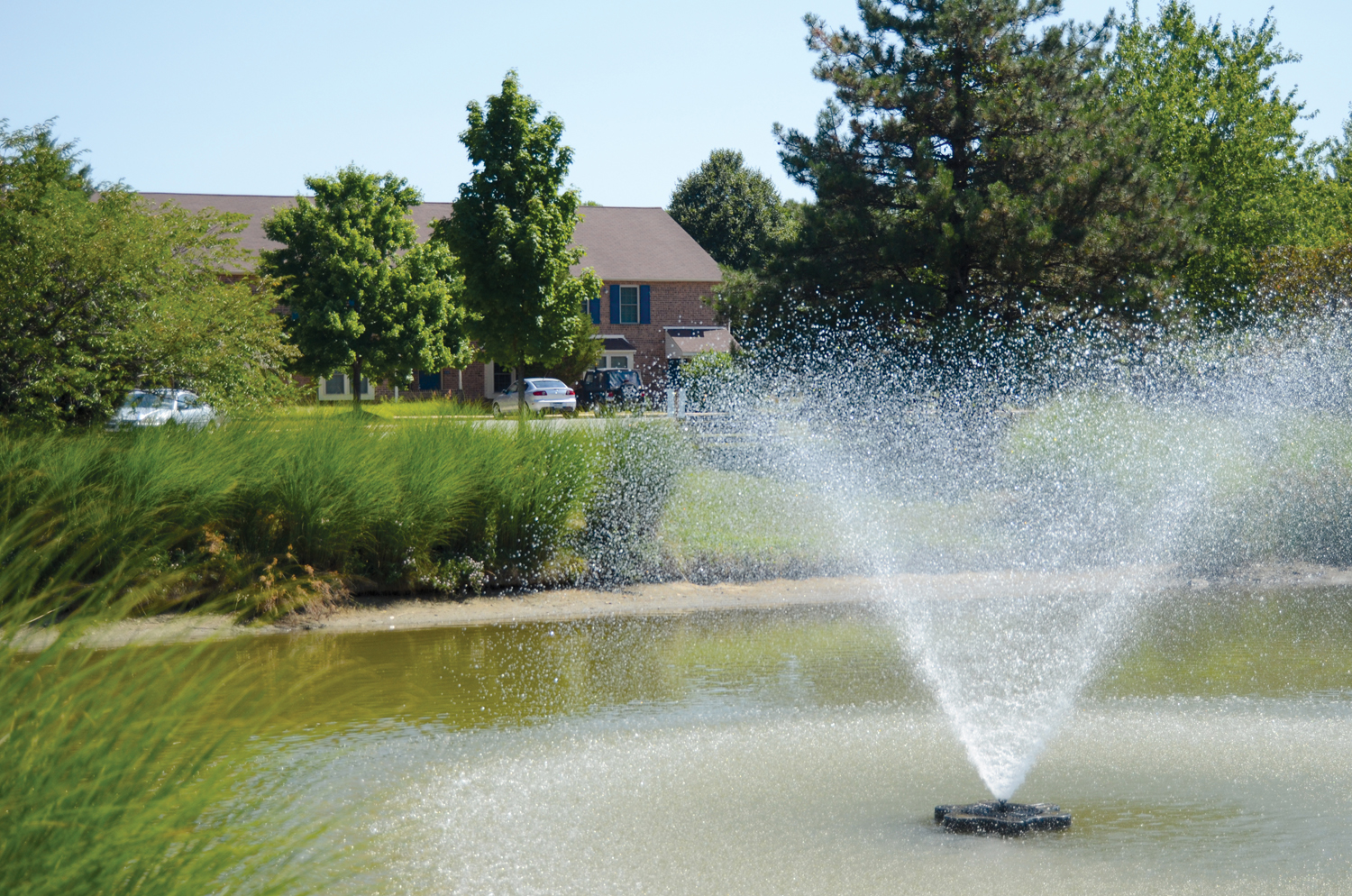 Photos and Video of Severgn in Exton, PA