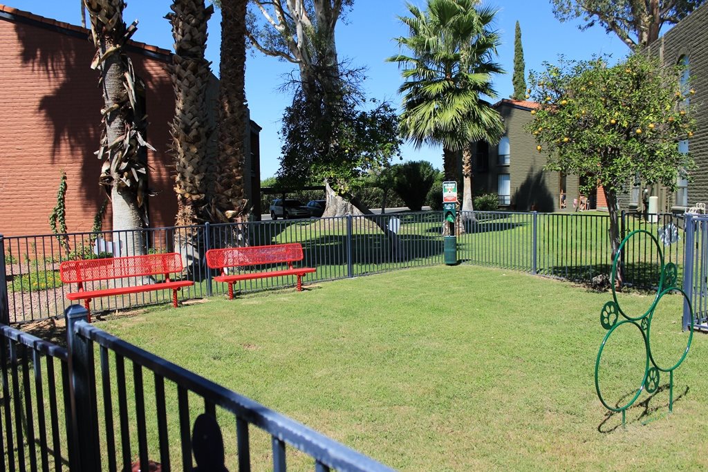 Mission Palms photogallery 34