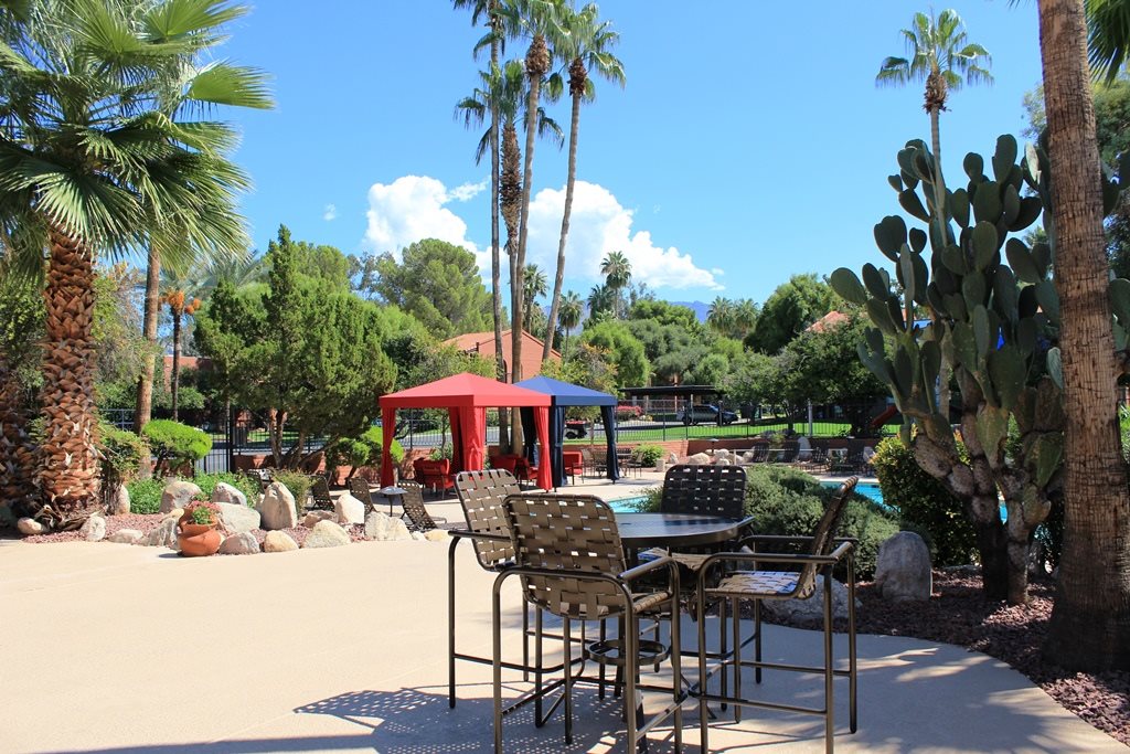 Mission Palms photogallery 17