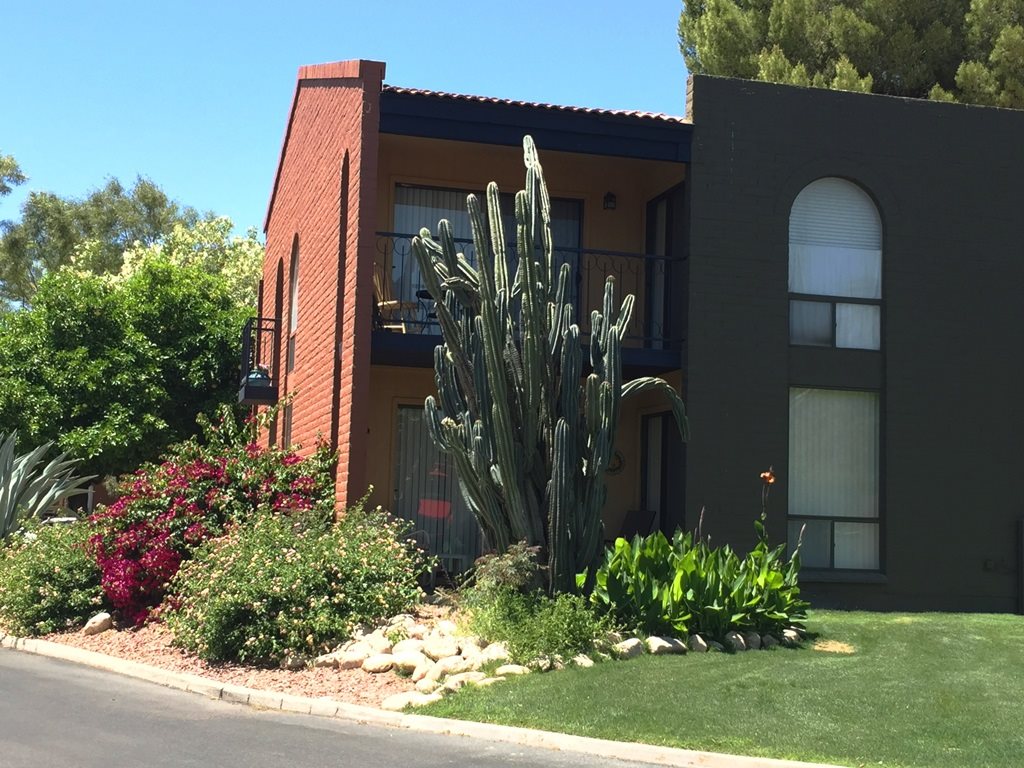 Mission Palms photogallery 24