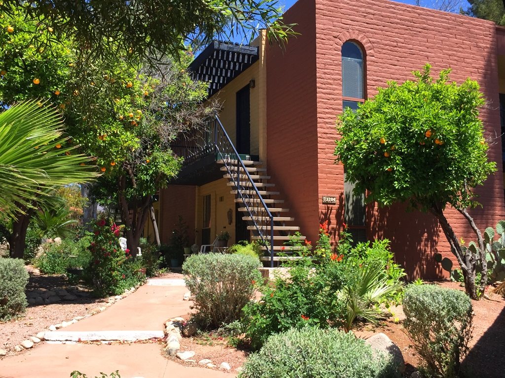 Mission Palms photogallery 21