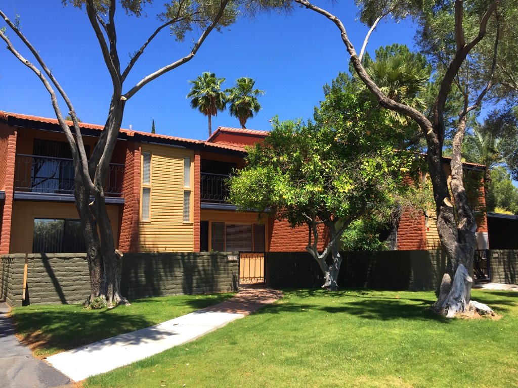 Mission Palms photogallery 28