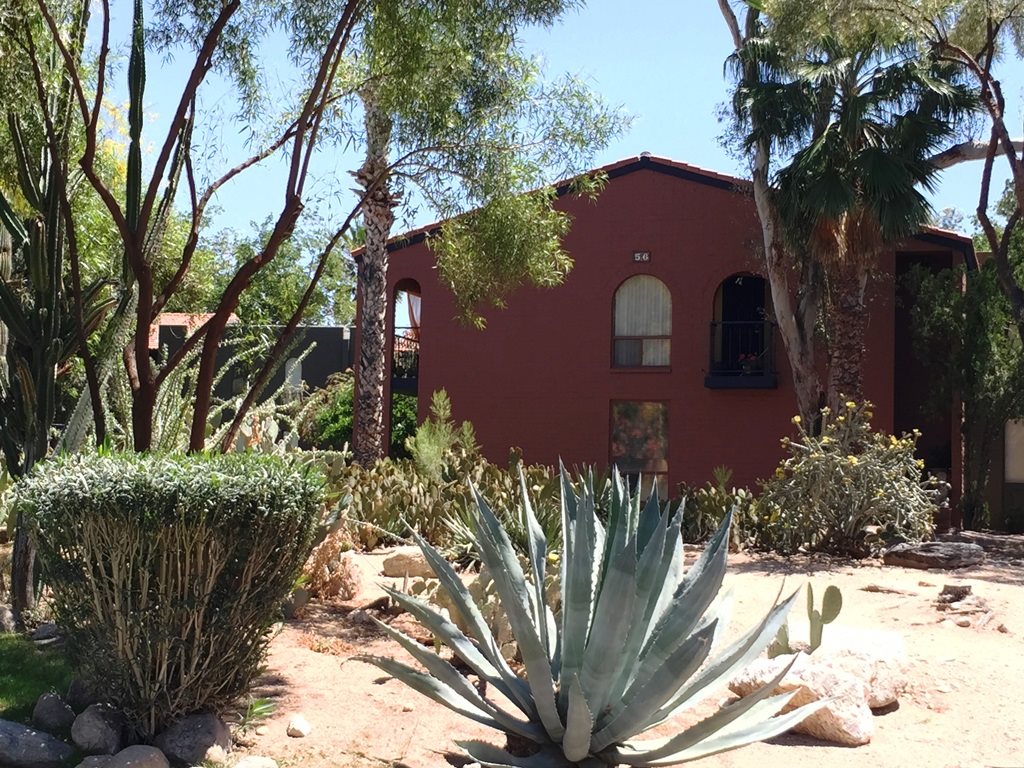 Mission Palms photogallery 26