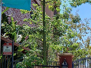 Photos And Tour Of Our Luxury Apartment In Woodland Hills Ca