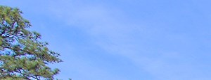 Windsor Landing Apartments Reviews Windsor Landing Apartments Reviews