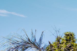 Affordable Apartments In Scottsdale Az Affordable Apartments In Scottsdale Az