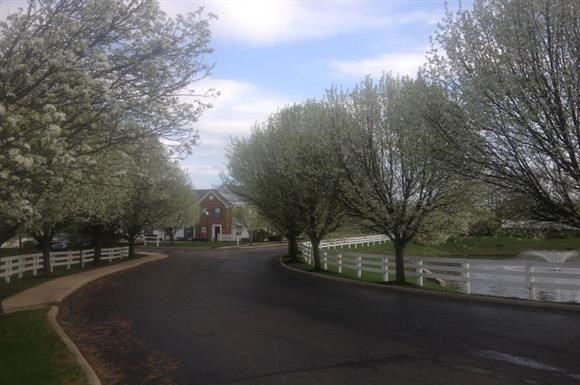 Apartments in Centerville | Ashton Glen