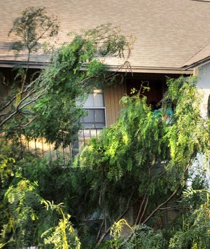 Mcallen Apartments Cheap Mcallen Apartments Cheap