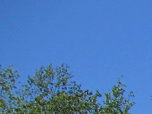 Millennium Apartment Homes in Greenville, SC | Photo Gallery