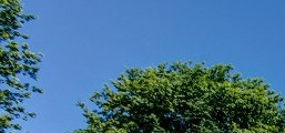 Timber Creek Apartments Rent Apartments In Portland