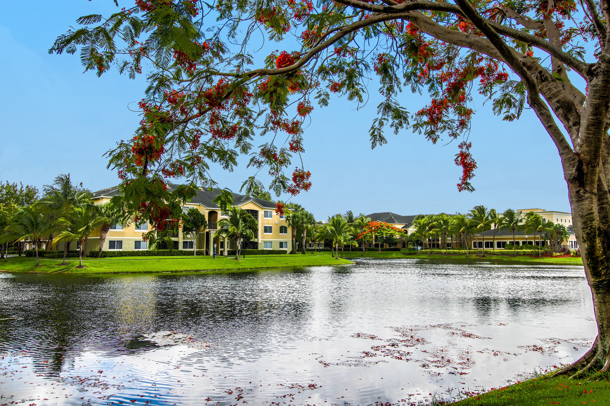 Palm Trace Landings Apartments Apartments in Davie, FL