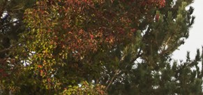 Apartments Boise - Room Pictures & All About Home Design Furniture