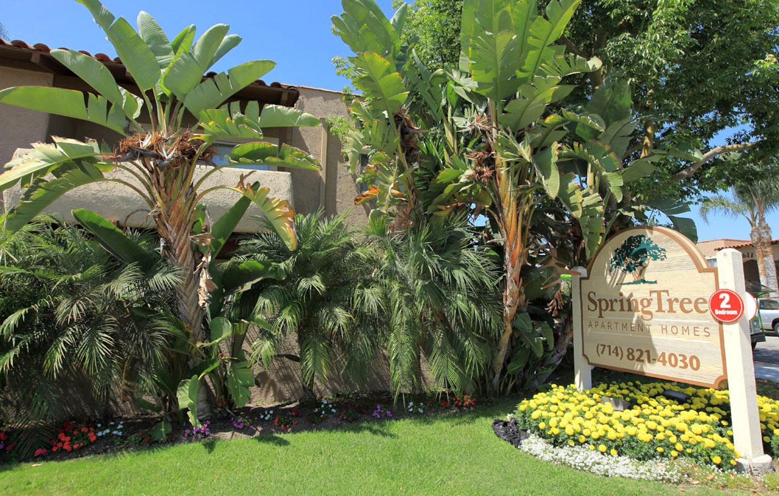 Spring Tree Apartments Apartments in Anaheim, CA