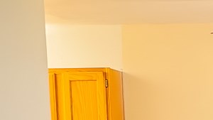 Pet Friendly Apartments Virginia Beach Pet Friendly Apartments Virginia Beach