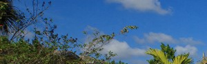 Emerald Lake Apartments Lake Worth Fl Emerald Lake Apartments Lake Worth Fl