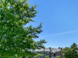 Luxury Apartments For Rent In Irving Tx Luxury Apartments For Rent In Irving Tx