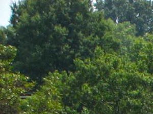 Cheap Apartments For Rent In Concord Nc Cheap Apartments For Rent In Concord Nc