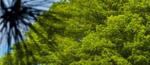 Pine Hills Apartments Manorville Ny Pine Hills Apartments Manorville Ny