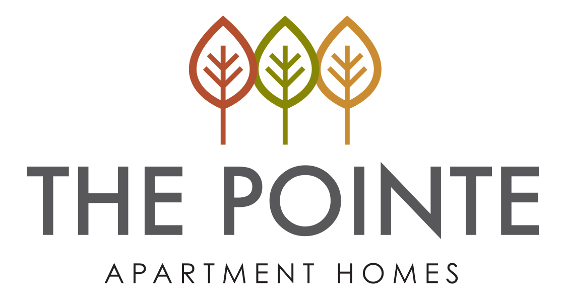 The Pointe Apartment and Community Amenities