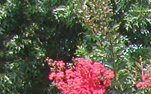 Mountain View Apartments In Knoxville Tn