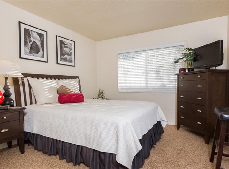 Cozy Bedrooms With Over sized Windows at The Towers Apartments, Albuquerque, NM