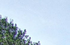 Rooms For Rent In Norcross Ga Rooms For Rent In Norcross Ga