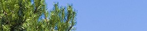 northlake farms apartments | apartments in gurnee, il | northlake farms apartments | apartments in gurnee, il |