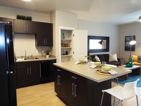 11747 South Siracus Dr. Studio Apartment for Rent