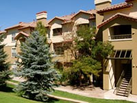 501 Broadway 1 Apartment for Rent