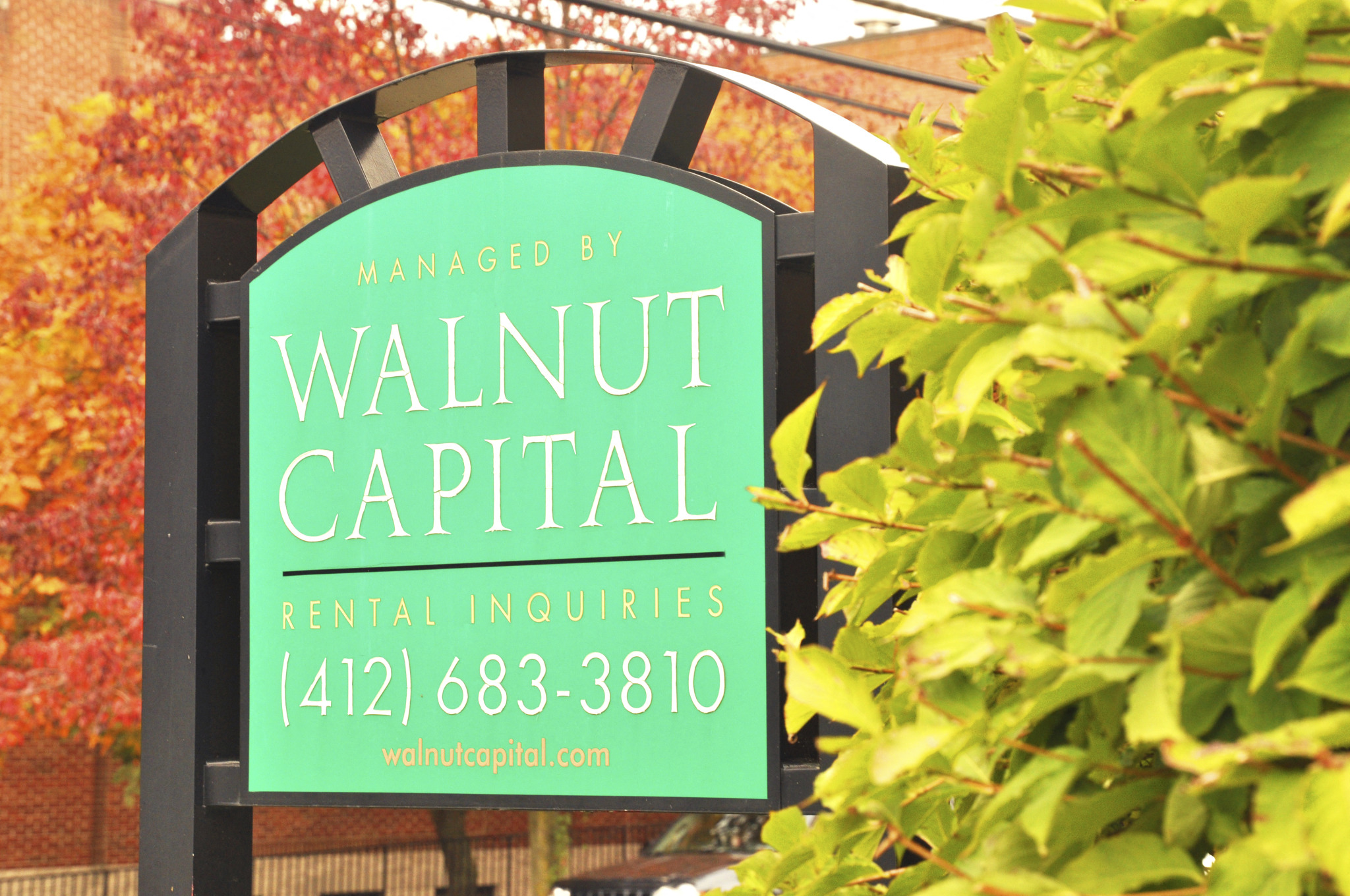 202 Pearl Street 2-3 Beds Apartment for Rent