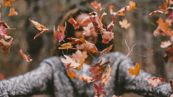 fall cleaning