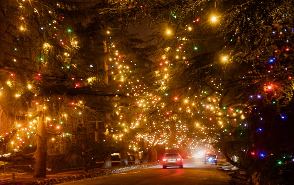Christmas Tree Lane