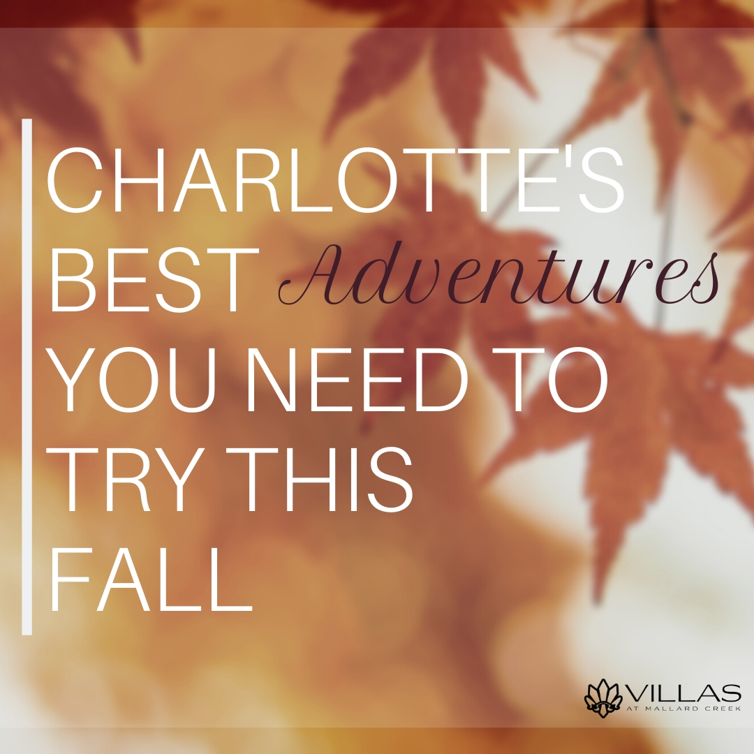 Charlotte's Best Adventures You Need to Try This Fall | Villas at Mallard Creek