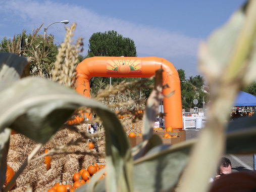 Calabasas Pumpkin Festival