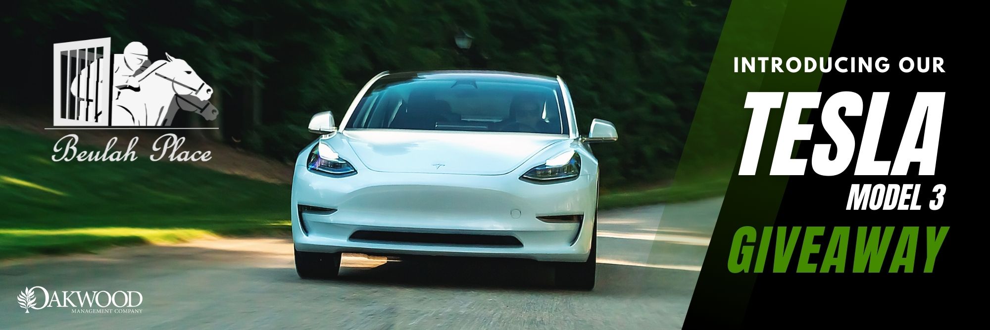 Tesla Giveaway