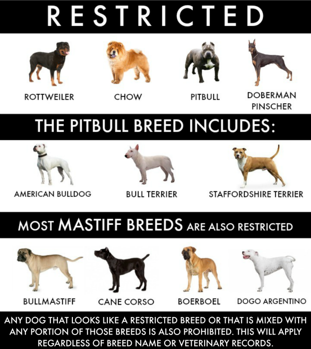 Restricted Breeds Are: Rotweiller, Chow, Doberman Pinscher and Pitbull (including American Bulldog, Bull Terrier and Staffordshire Terrier). Most Mastiff breeds are also restricted (including Bullmastif, Cane Corso, Boerboel, and Dogo Argentino.) Any dog that looks like a restricted breed or that is mixed with any portion of those breeds is also prohibited. This will apply regardless of breed name or veterinary records.