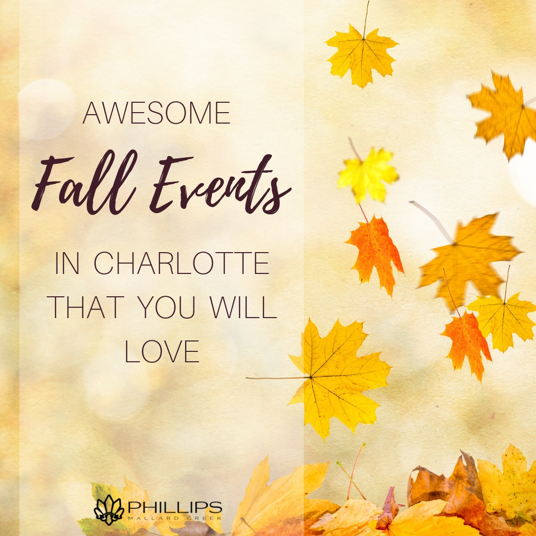 Awesome Fall Events In Charlotte That You Will Love | Phillips Mallard Creek