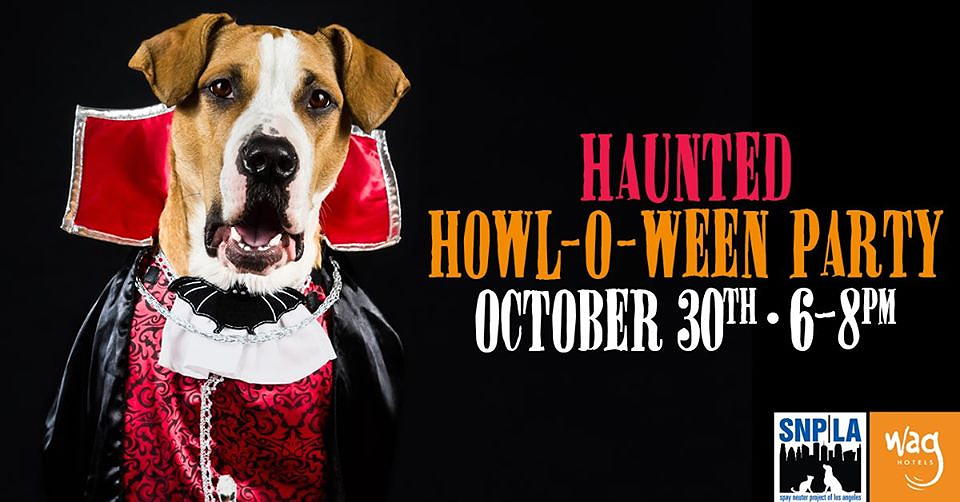 Haunted Howl-o-ween