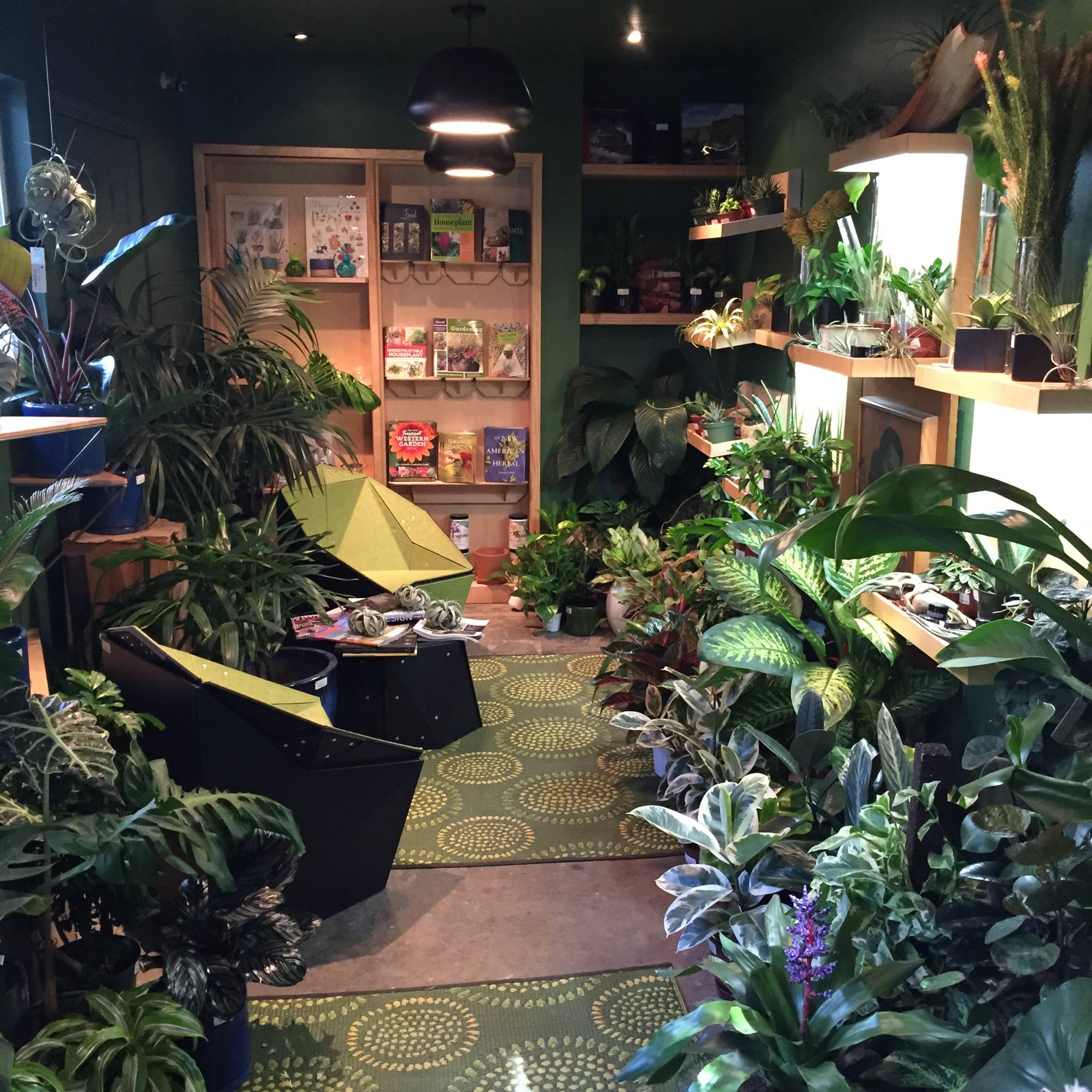 Plant Provocateur