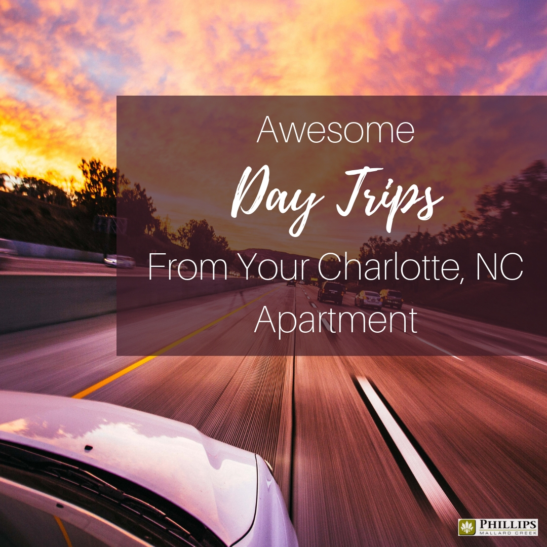 Awesome Day Trips Near Charlotte, NC | Phillips Mallard Creek Apartments
