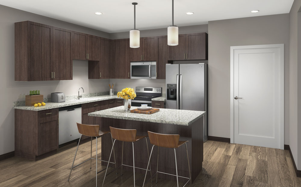 Contemporary design scheme with darker cabinetry and granite countertops