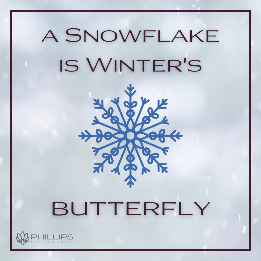 Cozy Winter Quotes That Will Warm Your Heart | Phillips Mallard Creek Apartments