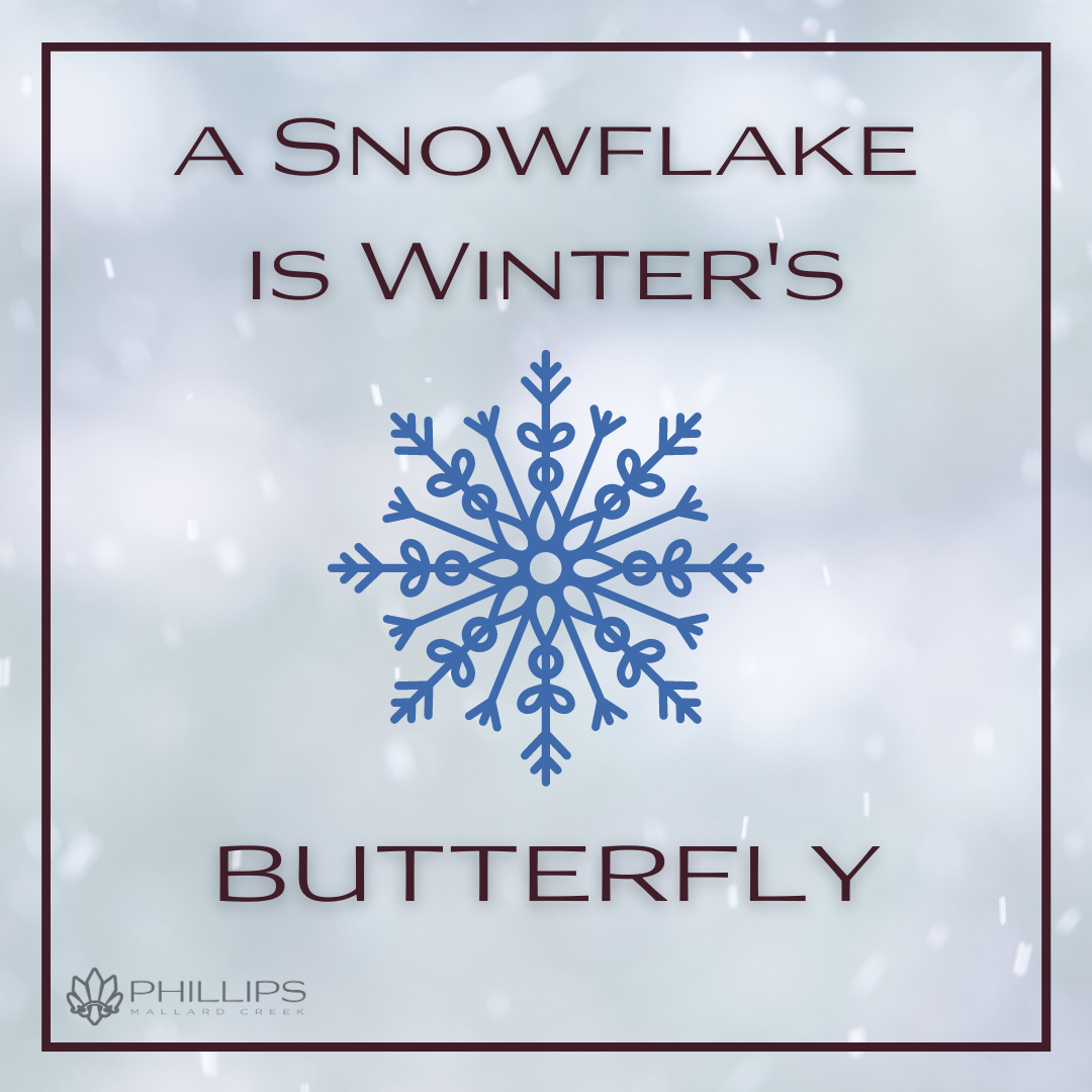 Cozy Winter Quotes That Will Warm Your Heart - Phillips Mallard Creek  Apartments Blog