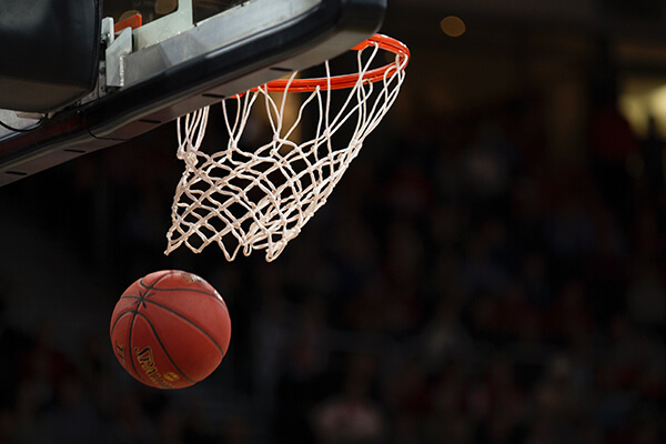 kentucky wildcats lexington kentucky