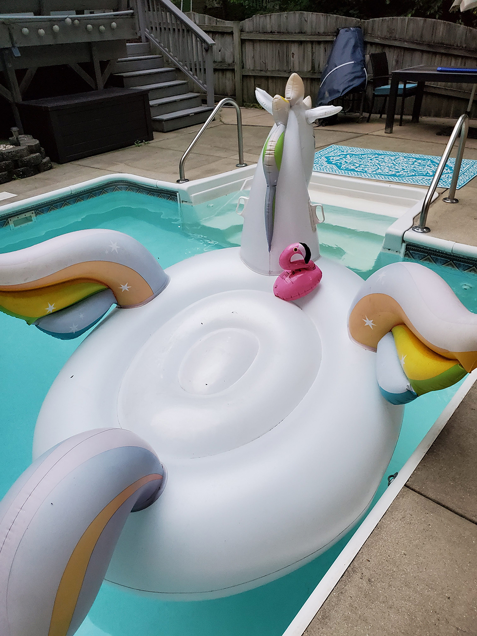 Philippe a flamingo is sitting on the back of Peggy the Large Pegasus float in the Pool