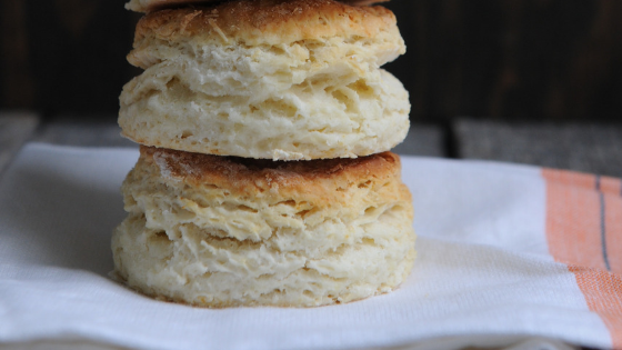biscuit