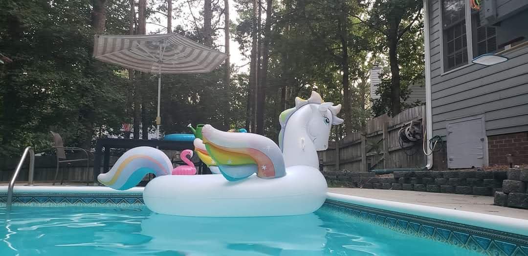 Peggy a Large Pegasus Pool Float with a Flamingo on her back named Philippe 