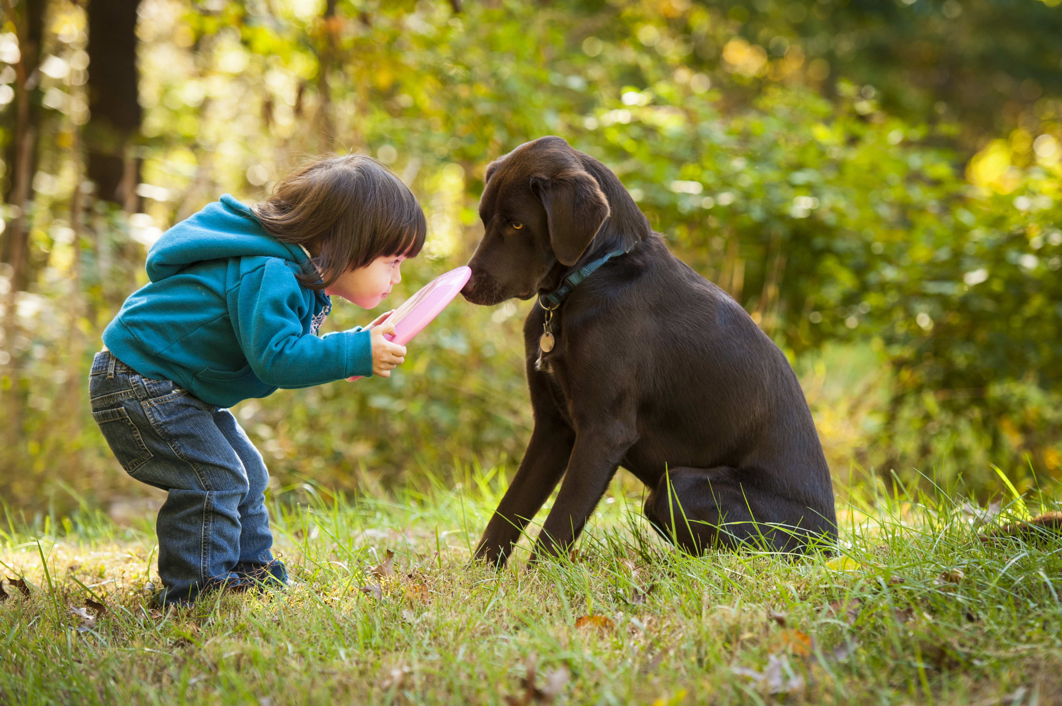 Take your kids and pets to the park and dog park at your pet-friendly Weidner Apartment Home. 